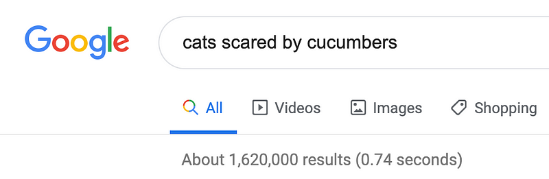 How Search Engines Find Cat Videos